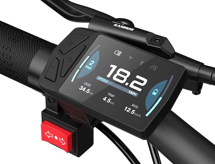 ADO Oasis 260T Dual-Battery Cargo E-Bike-3
