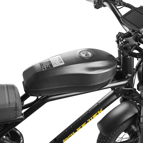 BLJ-F4 RetroCruze™ urban electric bike RetroCruze battery detail image for enhanced performance.