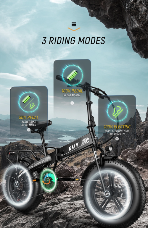 EUY 750W Motor Electric Bike