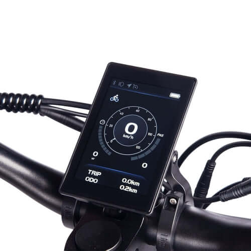 TFT digital display showing speed and battery level on a dual motor folding electric scooter handlebar.